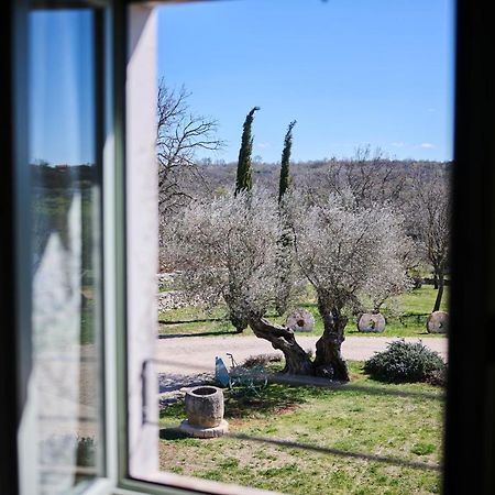 Winery Cuj Bed & Breakfast Vilanija Bagian luar foto