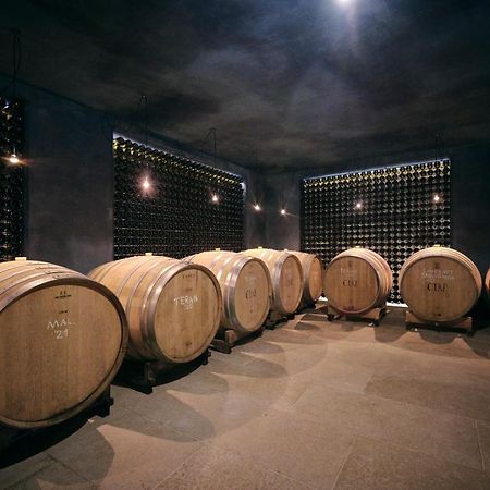 Winery Cuj Bed & Breakfast Vilanija Bagian luar foto