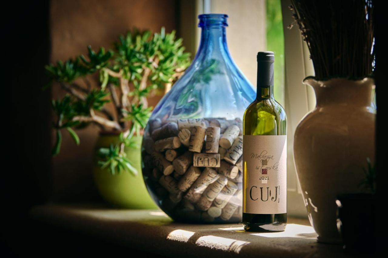 Winery Cuj Bed & Breakfast Vilanija Bagian luar foto