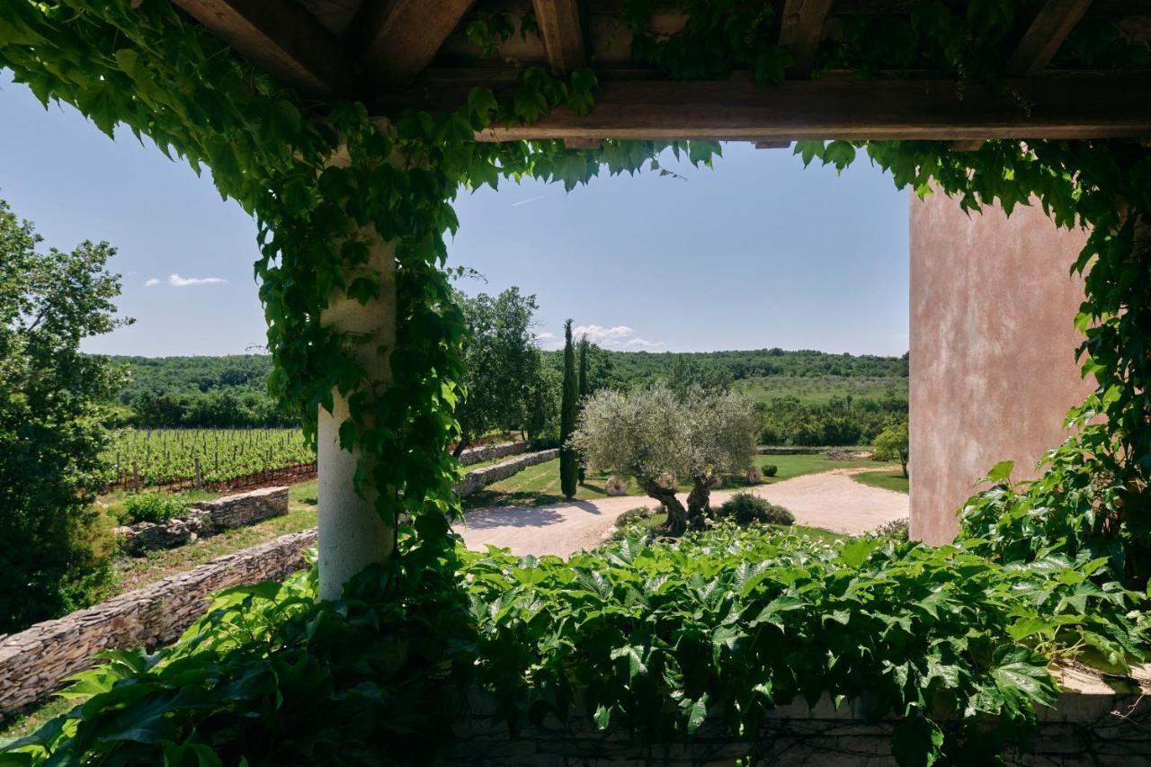 Winery Cuj Bed & Breakfast Vilanija Bagian luar foto